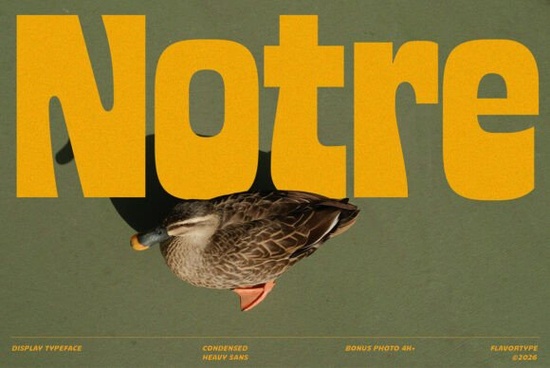 Notre Font